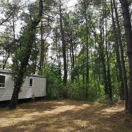 LE ILÔ - camping la dune blanche Camiers Exterior foto